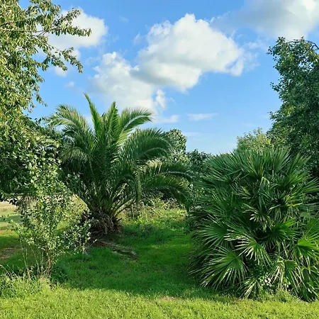 Longere De Charme Holiday home *
